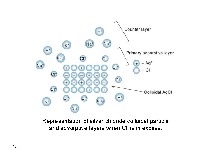 Representation of silver chloride colloidal particle and adsorptive layers when Cl- is in excess.