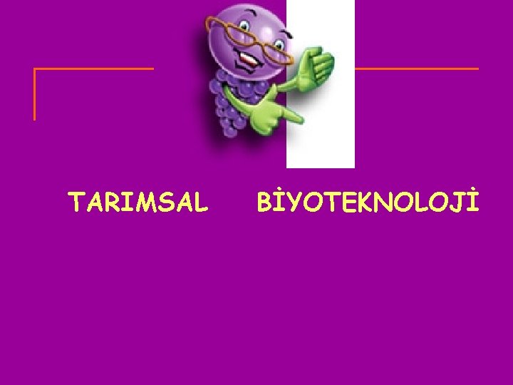 TARIMSAL BİYOTEKNOLOJİ 