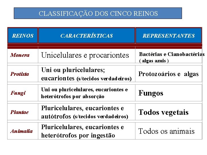 CLASSIFICAÇÃO DOS CINCO REINOS CARACTERÍSTICAS REPRESENTANTES Monera Unicelulares e procariontes Protista Uni ou pluricelulares;