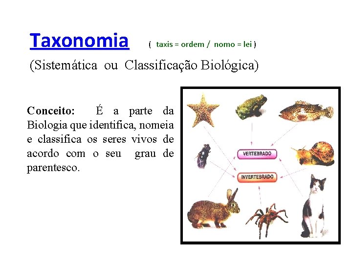 Taxonomia ( taxis = ordem / nomo = lei ) (Sistemática ou Classificação Biológica)