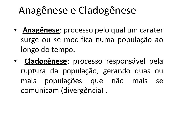 Anagênese e Cladogênese • Anagênese: Anagênese processo pelo qual um caráter surge ou se