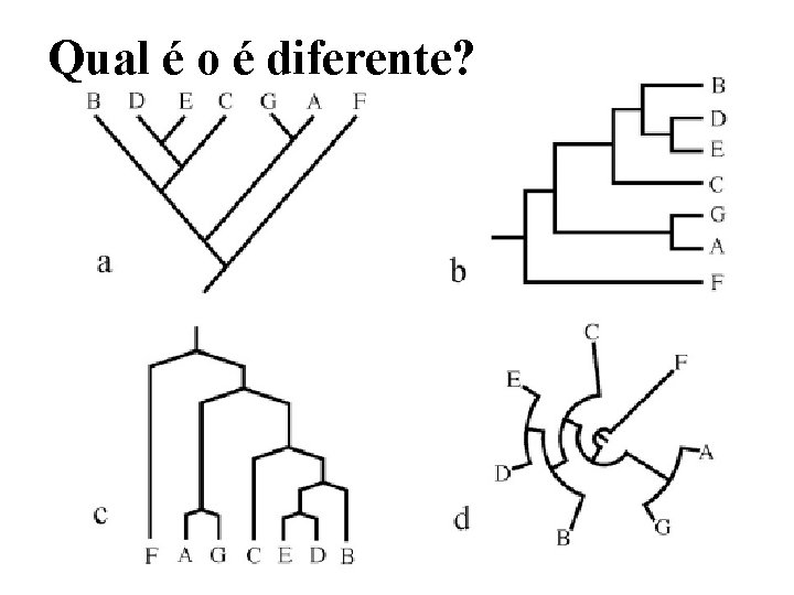 Qual é o é diferente? 