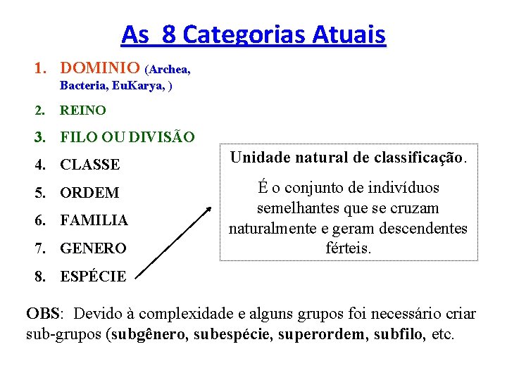 As 8 Categorias Atuais 1. DOMINIO (Archea, Bacteria, Eu. Karya, ) 2. REINO 3.