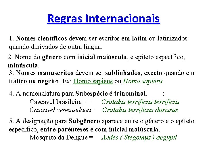 Regras Internacionais 1. Nomes científicos devem ser escritos em latim ou latinizados quando derivados