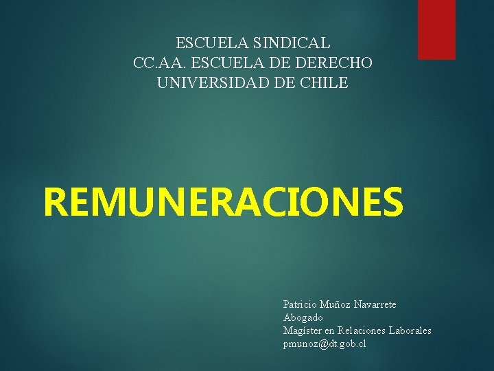 ESCUELA SINDICAL CC. AA. ESCUELA DE DERECHO UNIVERSIDAD DE CHILE REMUNERACIONES Patricio Muñoz Navarrete