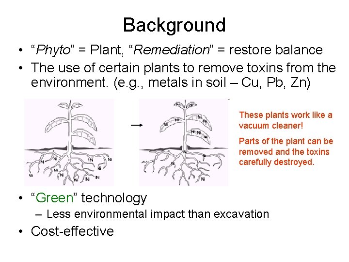 Background • “Phyto” = Plant, “Remediation” = restore balance • The use of certain