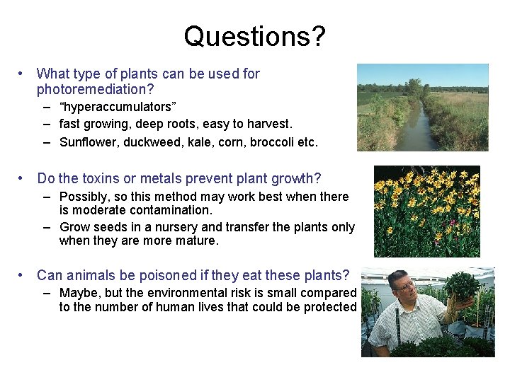 Questions? • What type of plants can be used for photoremediation? – “hyperaccumulators” –