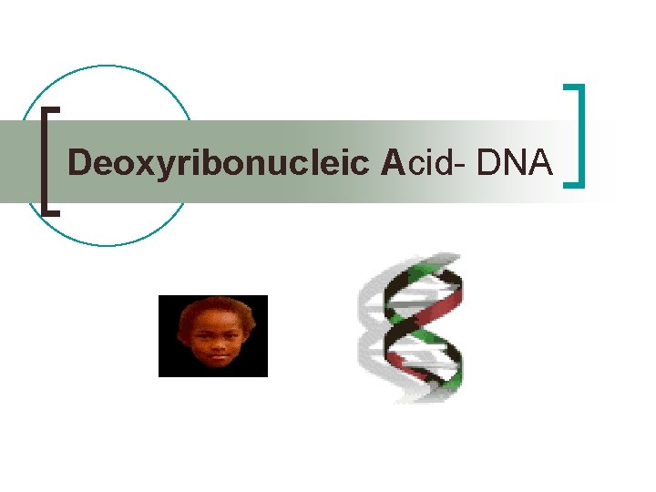 Deoxyribonucleic Acid- DNA 
