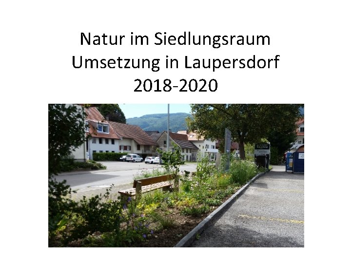 Natur im Siedlungsraum Umsetzung in Laupersdorf 2018 -2020 