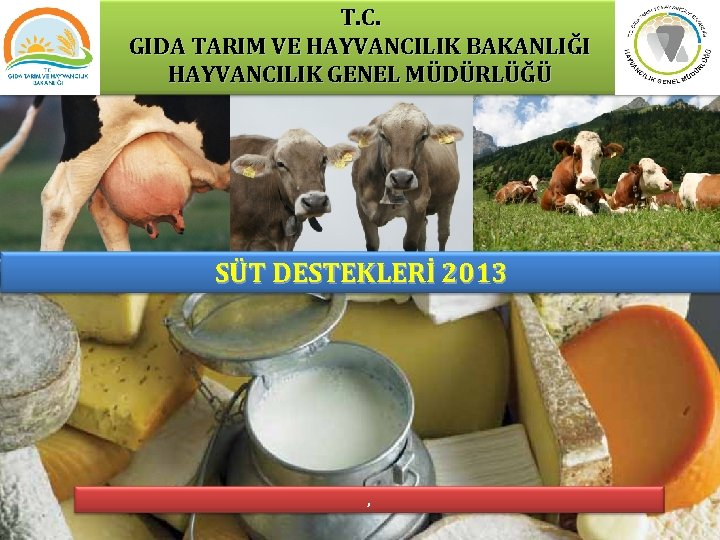 T. C. GIDA TARIM VE HAYVANCILIK BAKANLIĞI HAYVANCILIK GENEL MÜDÜRLÜĞÜ SÜT DESTEKLERİ 2013 ,