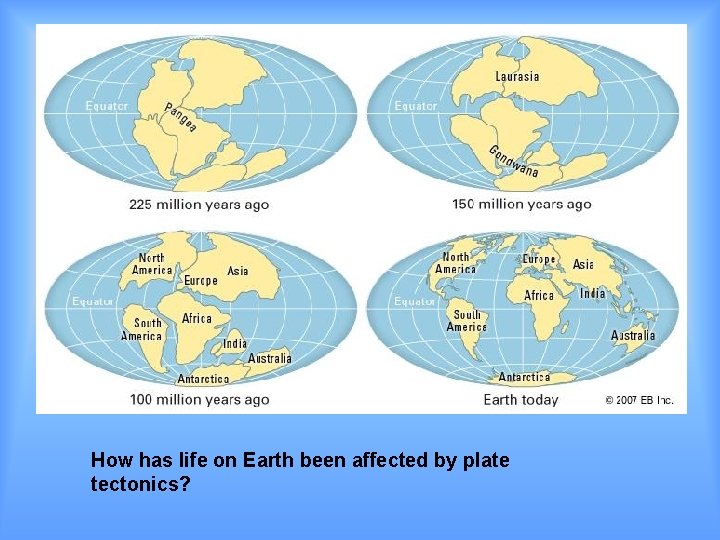 How has life on Earth been affected by plate tectonics? How has life on Earth been affected by plate tectonics?