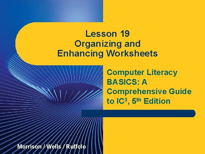 Lesson 19 Organizing and Enhancing Worksheets Computer Literacy BASICS: A Comprehensive Guide to IC