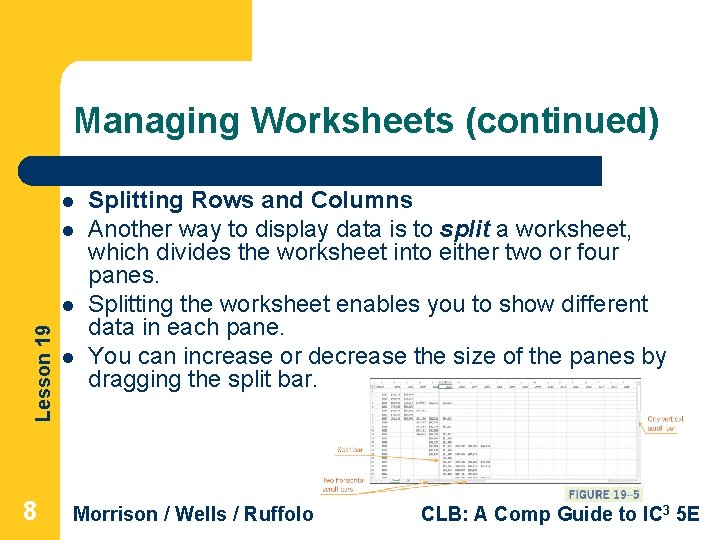 Managing Worksheets (continued) l l Lesson 19 l 8 l Splitting Rows and Columns