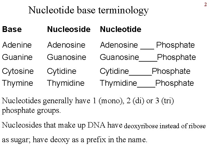 Nucleotide base terminology Base Nucleoside Nucleotide Adenine Guanine Adenosine Guanosine Adenosine ___ Phosphate Guanosine____Phosphate