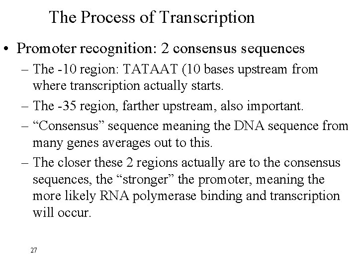 The Process of Transcription • Promoter recognition: 2 consensus sequences – The -10 region: