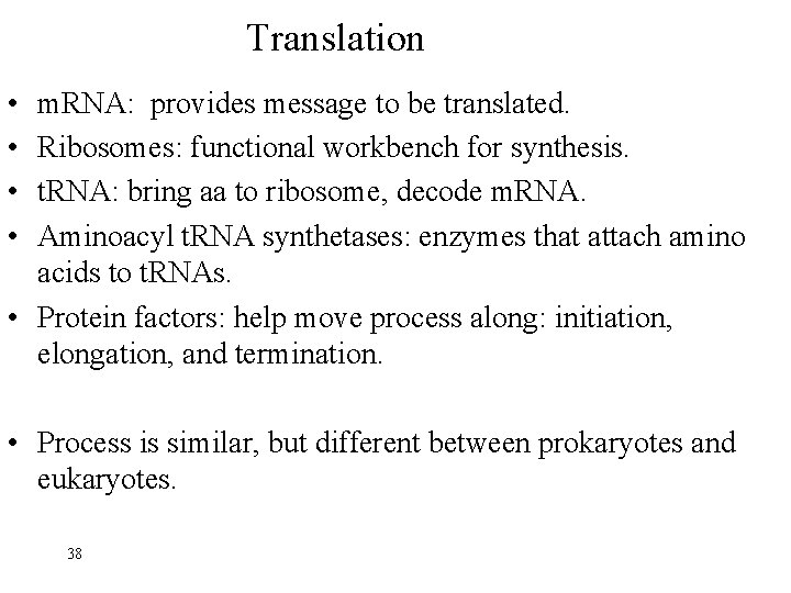 Translation • • m. RNA: provides message to be translated. Ribosomes: functional workbench for