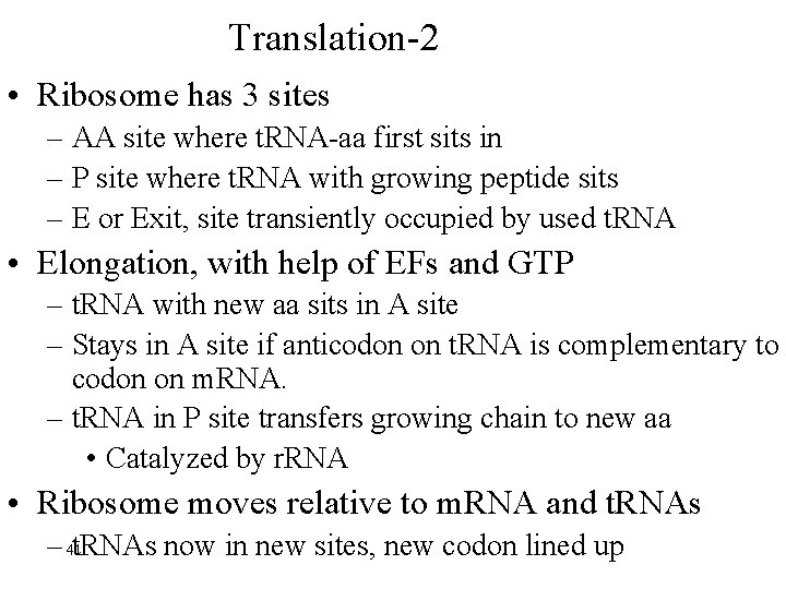 Translation-2 • Ribosome has 3 sites – AA site where t. RNA-aa first sits
