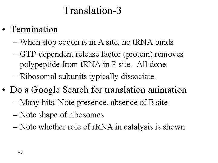 Translation-3 • Termination – When stop codon is in A site, no t. RNA