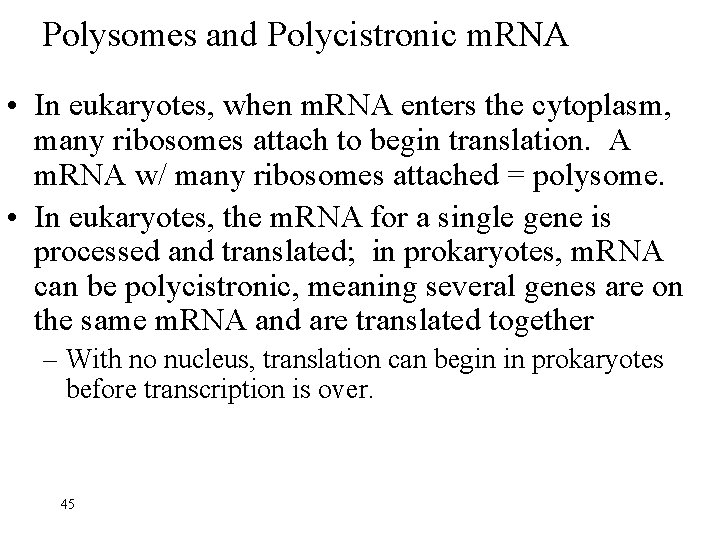 Polysomes and Polycistronic m. RNA • In eukaryotes, when m. RNA enters the cytoplasm,