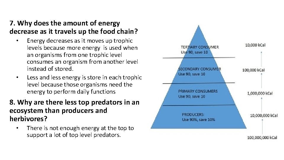 7. Why does the amount of energy decrease as it travels up the food 7. Why does the amount of energy decrease as it travels up the food