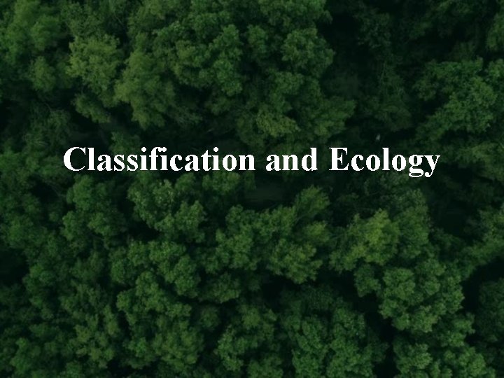 Classification and Ecology 