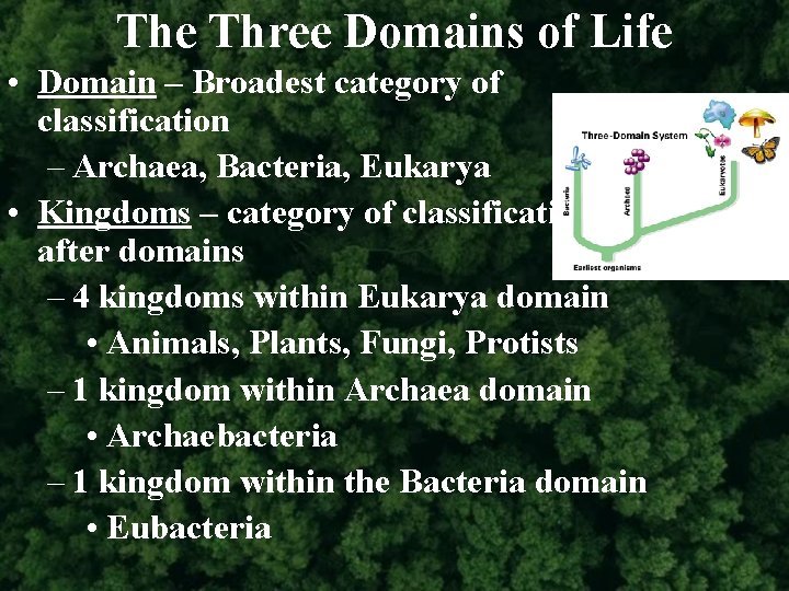 The Three Domains of Life • Domain – Broadest category of classification – Archaea,