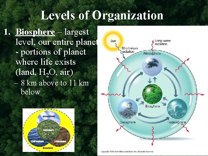 Levels of Organization 1. Biosphere – largest level, our entire planet - portions of