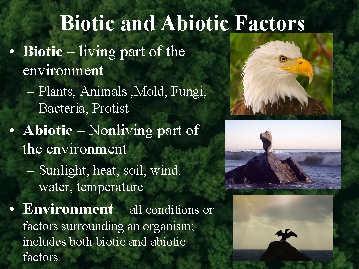 Biotic and Abiotic Factors • Biotic – living part of the environment – Plants,