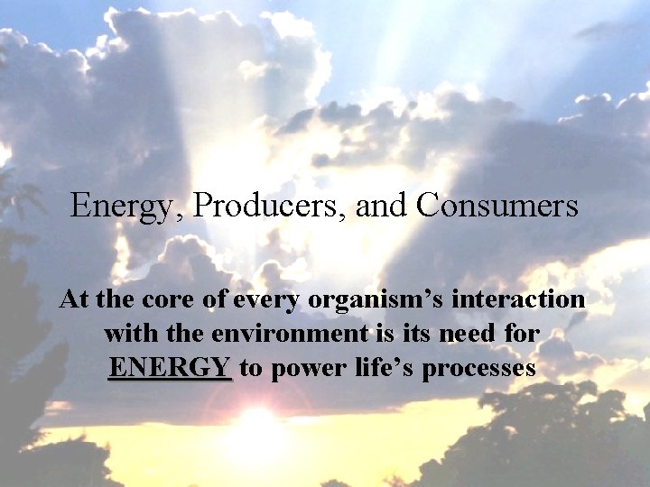 Energy, Producers, and Consumers At the core of every organism’s interaction with the environment