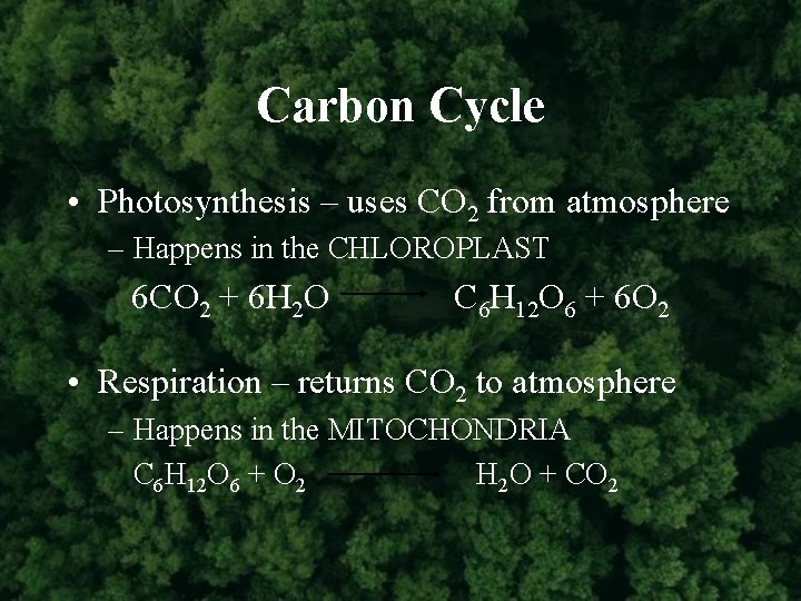 Carbon Cycle • Photosynthesis – uses CO 2 from atmosphere – Happens in the