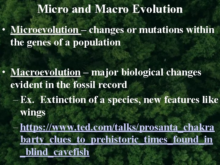 Micro and Macro Evolution • Microevolution – changes or mutations within the genes of
