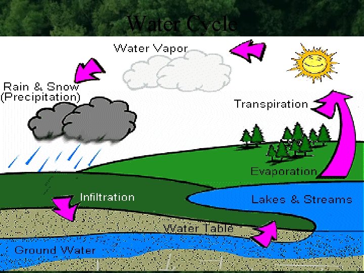 Water Cycle 