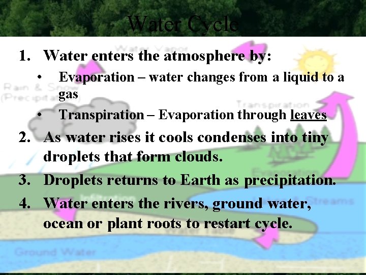 Water Cycle 1. Water enters the atmosphere by: • • Evaporation – water changes