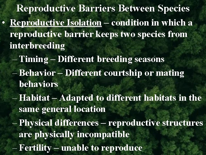 Reproductive Barriers Between Species • Reproductive Isolation – condition in which a reproductive barrier