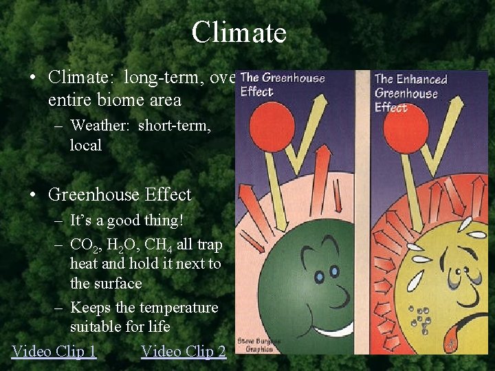 Climate • Climate: long-term, over entire biome area – Weather: short-term, local • Greenhouse