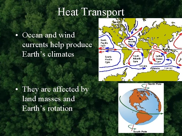 Heat Transport • Ocean and wind currents help produce Earth’s climates • They are