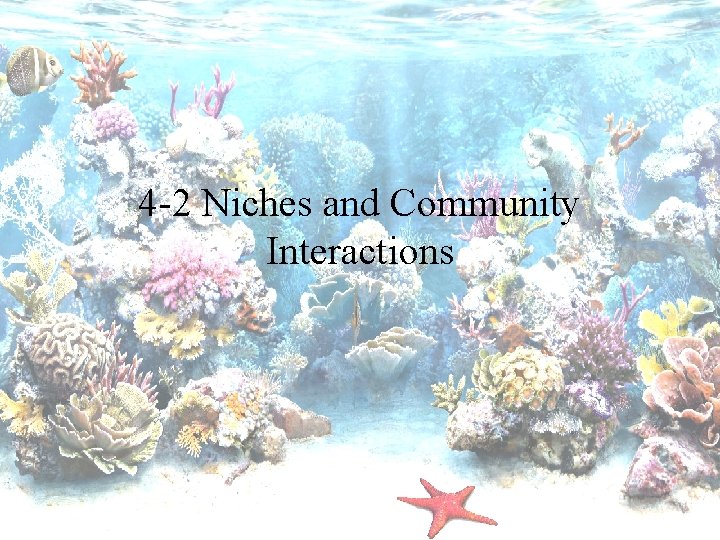 4 -2 Niches and Community Interactions 