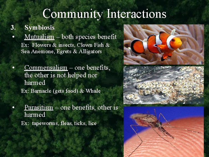 Community Interactions 3. • Symbiosis Mutualism – both species benefit Ex: Flowers & insects,