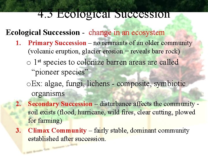 4. 3 Ecological Succession - change in an ecosystem 1. Primary Succession – no