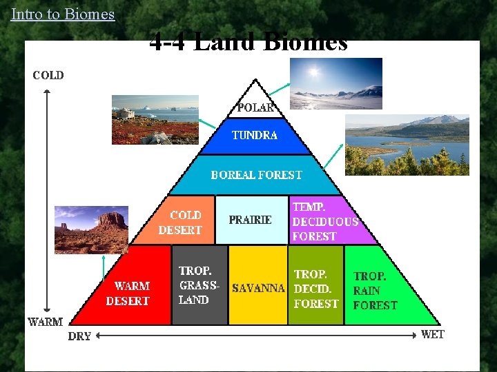 Intro to Biomes 4 -4 Land Biomes 