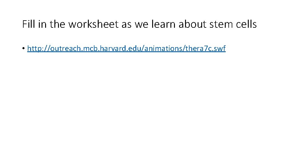 Fill in the worksheet as we learn about stem cells • http: //outreach. mcb.