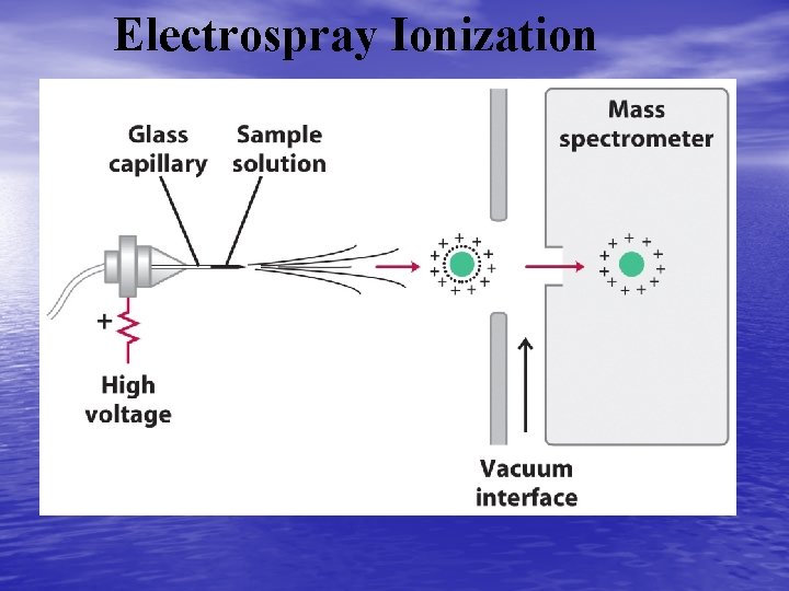 Electrospray Ionization 