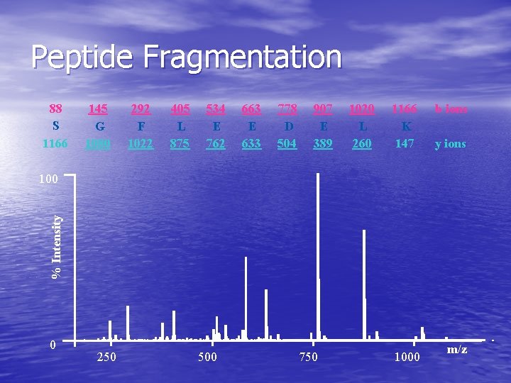 Peptide Fragmentation 88 S 1166 145 G 1080 292 F 1022 405 L 875