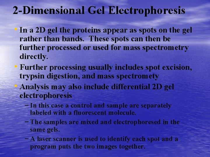 2 -Dimensional Gel Electrophoresis • In a 2 D gel the proteins appear as