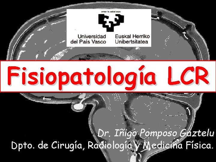 Fisiopatología LCR Dr. Iñigo Pomposo Gaztelu Dpto. de Cirugía, Radiología y Medicina Física. 