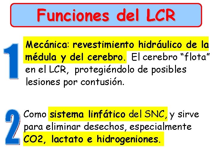 Funciones del LCR Mecánica: revestimiento hidráulico de la médula y del cerebro. El cerebro