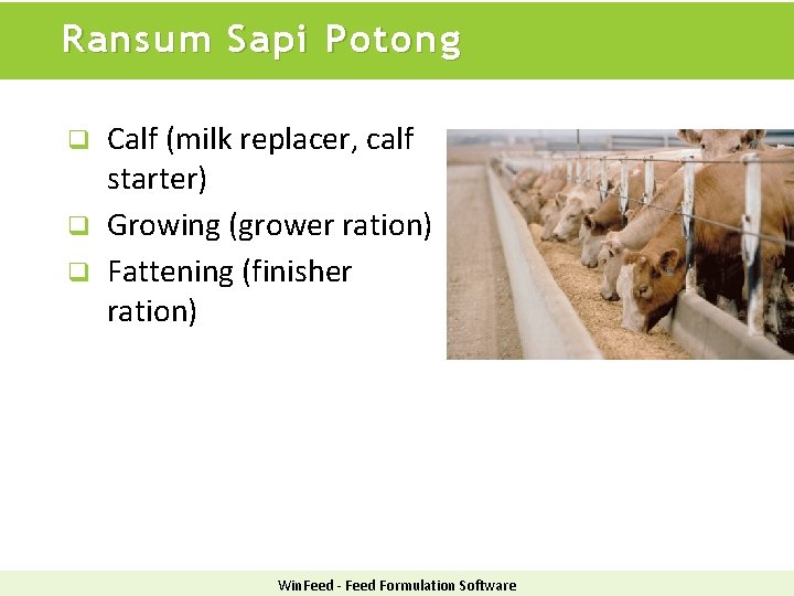 Ransum Sapi Potong Calf (milk replacer, calf starter) q Growing (grower ration) q Fattening