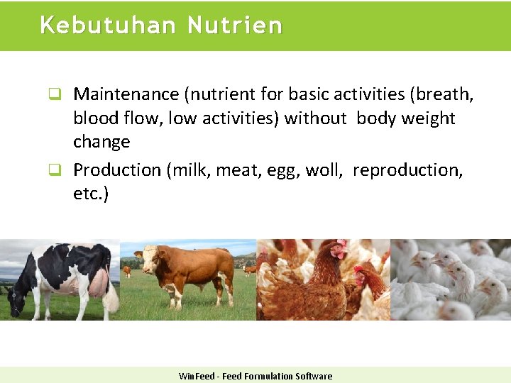 Kebutuhan Nutrien Maintenance (nutrient for basic activities (breath, blood flow, low activities) without body