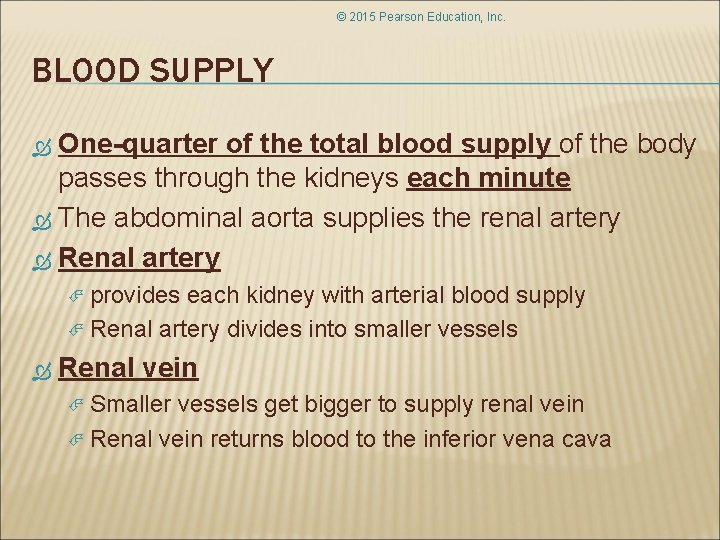 © 2015 Pearson Education, Inc. BLOOD SUPPLY One-quarter of the total blood supply of