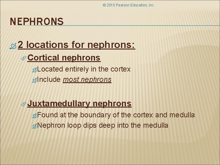 © 2015 Pearson Education, Inc. NEPHRONS 2 locations for nephrons: Cortical nephrons Located entirely